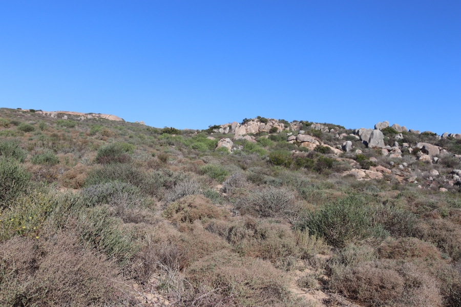 0 Bedroom Property for Sale in Steenbergs Cove Western Cape